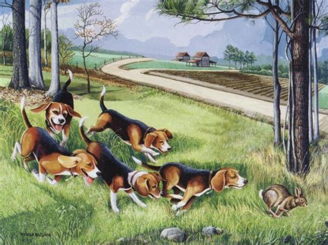 Beagle Hunting, Beagle Hound, Coon Hunting, Rabbit Hunting, Beagle Art ...