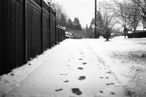 Who Is Responsible For Removing Snow From Sidewalks In NYS