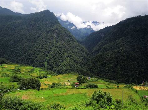 Flora and Fauna of Bhutan - Rich Biodiversity of the Himalayan Kingdom