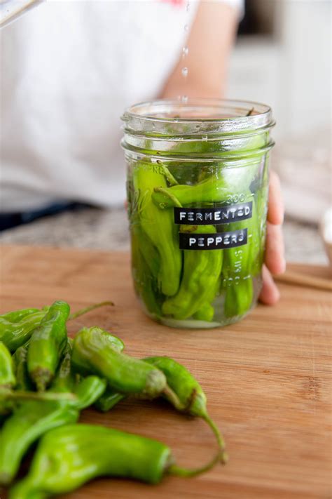 Pepper Fermentation Recipe: Learn How to Ferment Any Type of Pepper | Recipe | Stuffed peppers ...