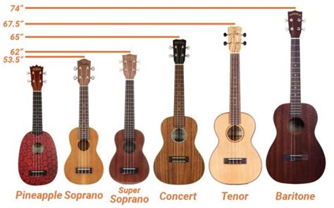 Guide to Ukulele Sizes: 10 Types of Ukuleles - Nepal Music Gallery