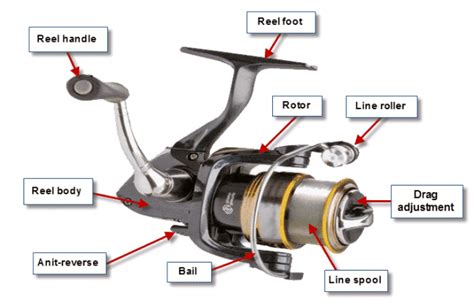 How to use spinning reel (complete guide)