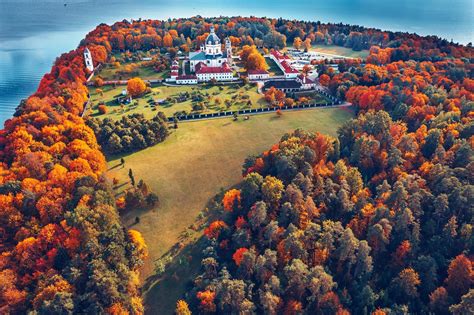 trees, aerial view, landscape, Lithuania, fall HD Wallpaper