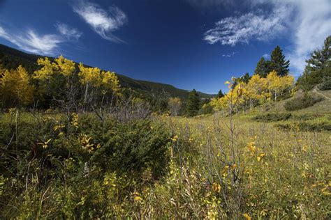 Helena, Lewis and Clark forests merge