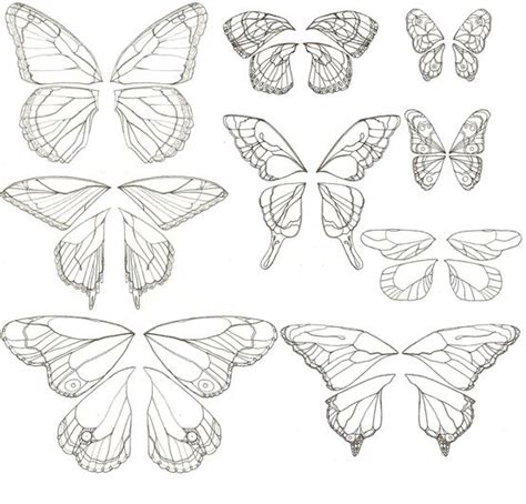 Butterfly!~! | Butterfly drawing, Butterfly art, Wings drawing