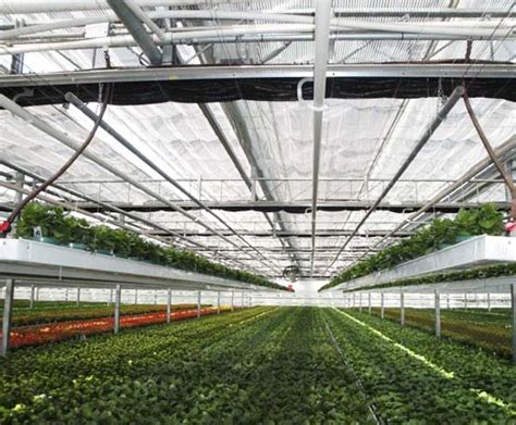 Commercial Greenhouse Heating Systems | GGS Structures