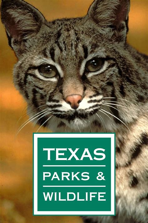 Watch Texas Parks and Wildlife Online | Season 29 (2020) | TV Guide