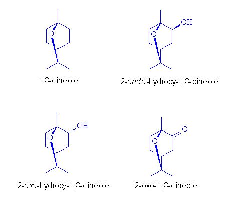 Chemical structure of 1,8-cineole and the biotransformation products ...