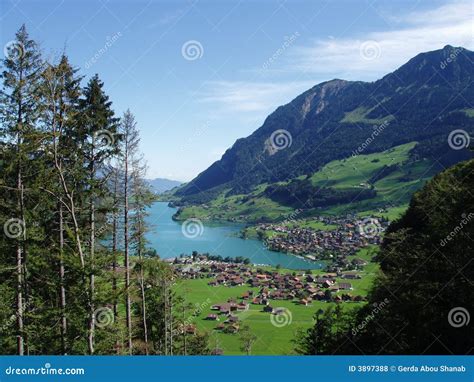 Lakeview in Switzerland stock photo. Image of view, beautiful - 3897388