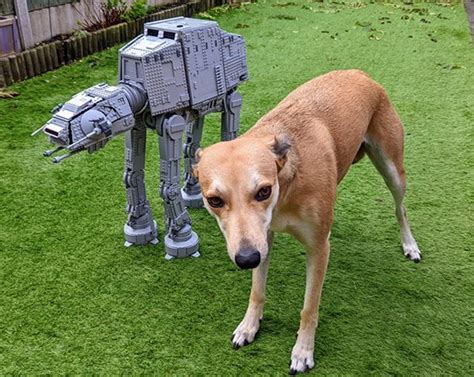 LEGO Star Wars 75313 UCS AT-AT Review (bigger than your dog?) - The ...