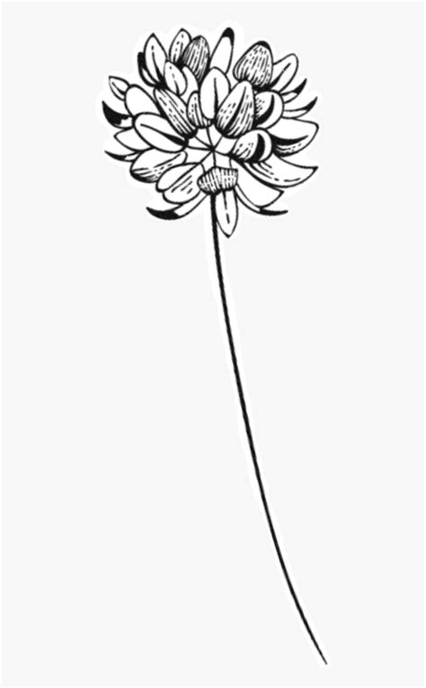 #flower #print #sticker #tumblr #aesthetic #blackandwhite - Cut Flowers ...