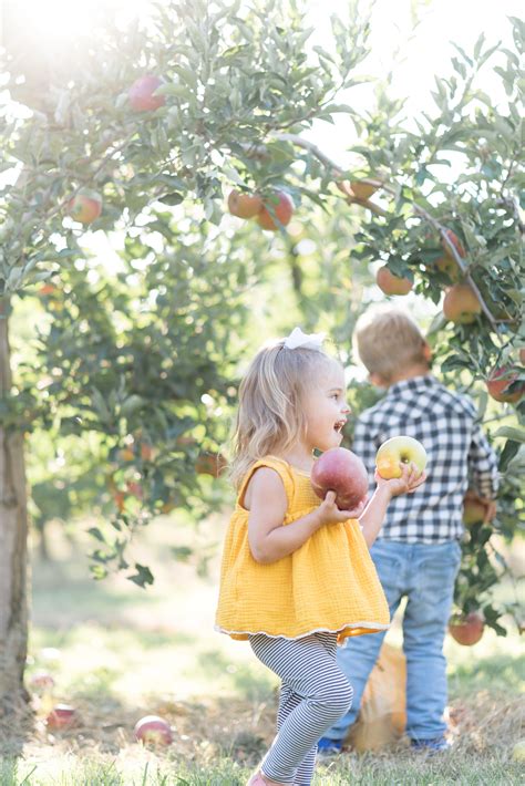 Family Apple Picking | Lynd Fruit Farm — White Elm Photography