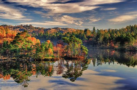 Tarn Hows In Autumn Photograph by Rory Mcdonald | Fine Art America