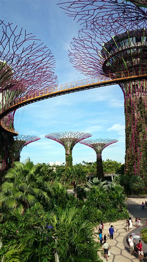 Gardens by the Bay – Super trees Grove & Skyway : Singapore | Visions of Travel