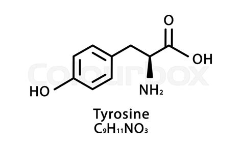 Tyrosine molecular structure. L-Tyrosine skeletal chemical formula ...