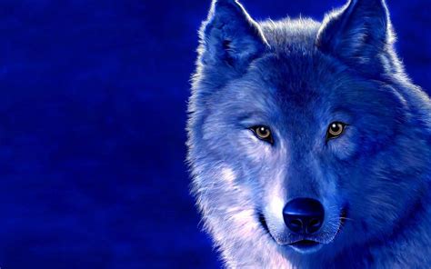 Ice Wolf Wallpapers - Wallpaper Cave