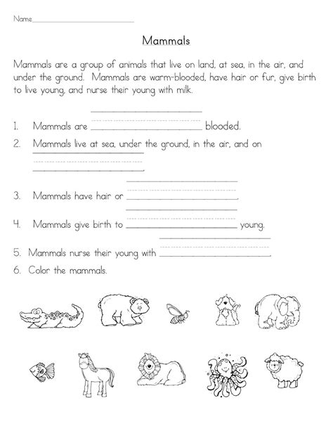 Mammals Characteristics For Kids - Pets Lovers