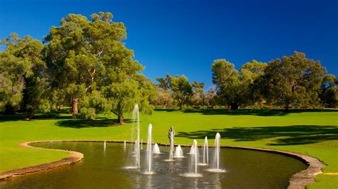 Kings Park and Botanic Garden - Perth, Western Australia Attraction | Expedia.com.au