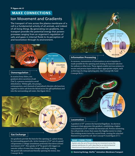 See what’s new in Campbell Biology, 12th Edition