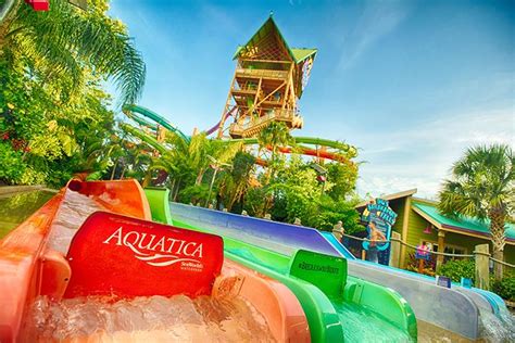 Aquatica Orlando | SeaWorld's Water Park | Tripster