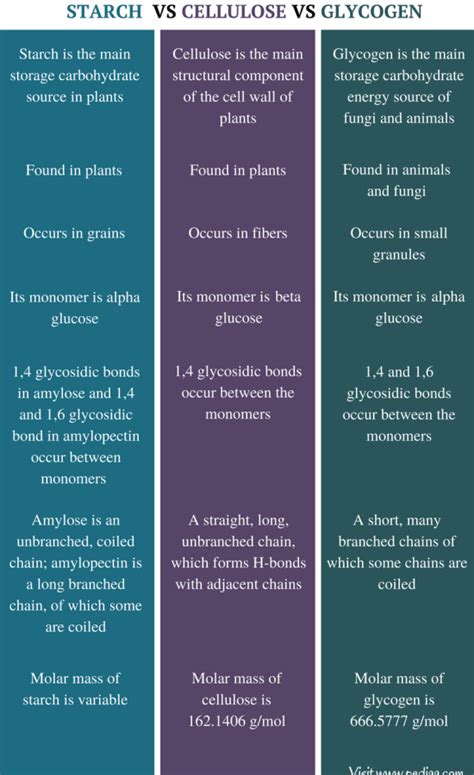 Difference Between Starch Cellulose and Glycogen | Structure, Properties, Source, Function