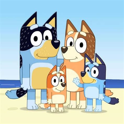 In Australia we have a kids show called ‘Bluey’ that features a family of cattle dogs. It’s as ...