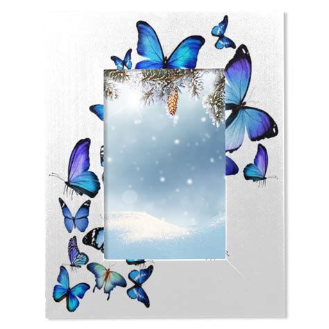 Blue Butterfly Frame