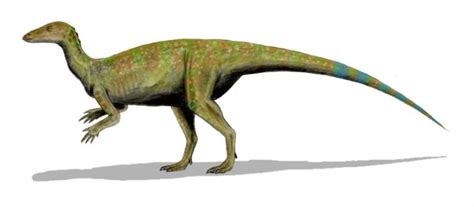 10 Hearty Facts About Thescelosaurus | Mental Floss