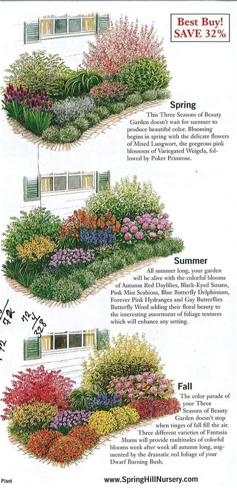 10+ Plan A Perennial Flower Bed – HOMYRACKS