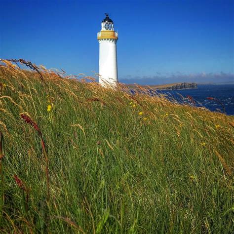 Self catering lighthouse cottages | Vacation cottage, Lighthouse, Dog ...