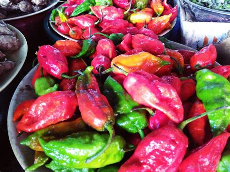 Some Naga food items one would normally see at local markets in Nagaland - Bizarre or Exotic