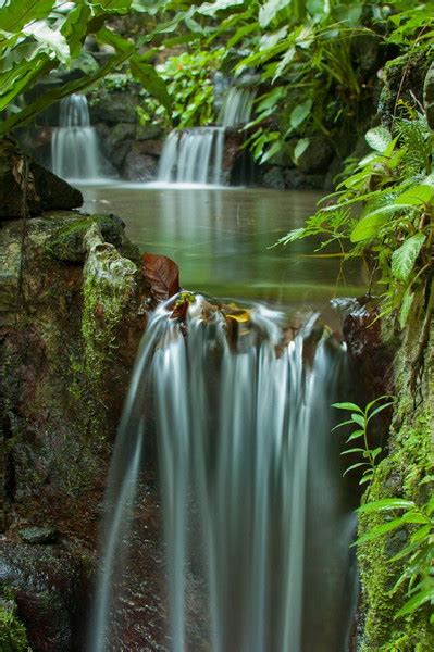 Hidden Valley Springs