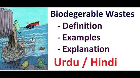 Biodegradable wastes. |Definition with Examples| Urdu / Hindi - YouTube