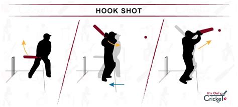 What is a Hook Shot in Cricket? - Best Hook Shot Players