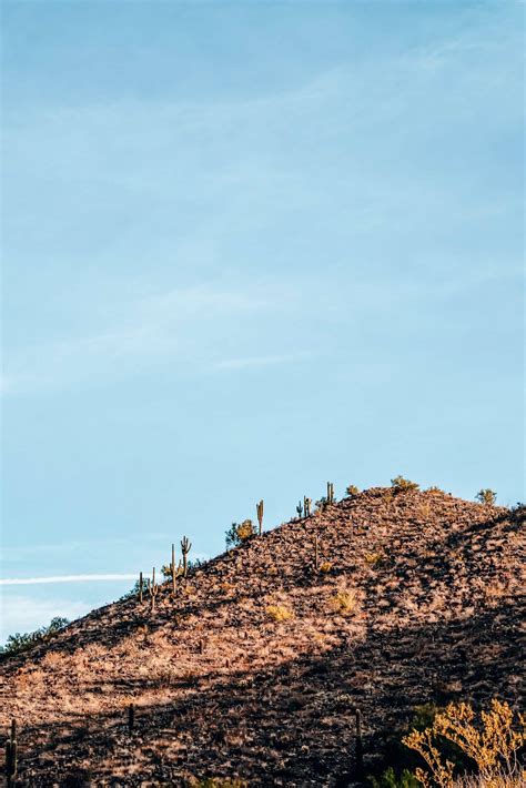 The Best Scottsdale Hiking Trails to Reconnect With Nature | 2023