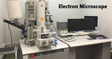 Electron Microscope: Principle, Types, Uses, Labeled Diagram