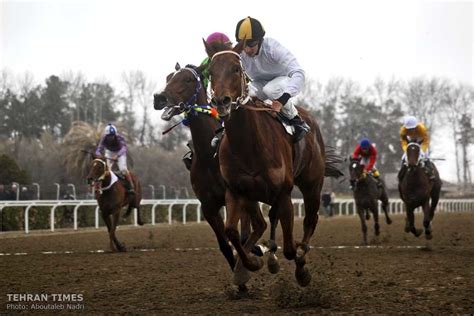 Tehran Times - Horse-riding competition in Gonbad