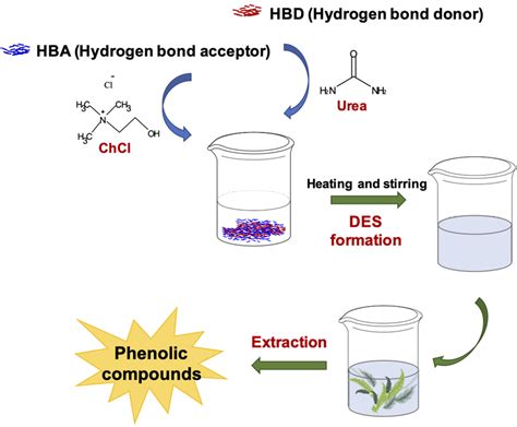 | Schematic representation of extraction of phenolic compounds with DES. | Download High-Quality ...