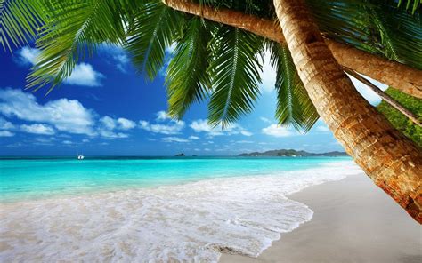 Tropical Beach Summer Ocean Wallpapers - Wallpaper Cave