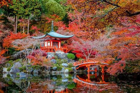 Autumn in Japan: 2024 Fall Foliage Forecast | JRailPass