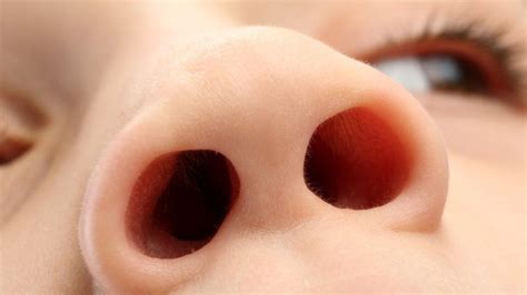 Children's noses 'hold clues' to serious lung infections - BBC News