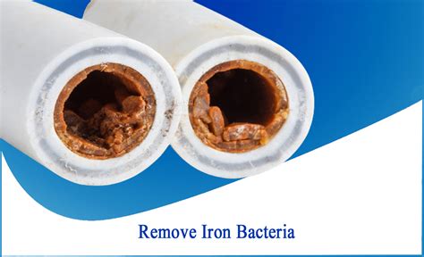 How to Remove Iron Bacteria From Water -Netsol Water