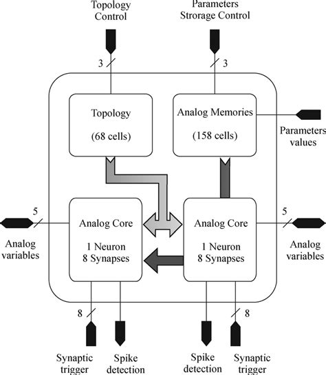 I/O mapping, block diagram, and inter-block connections in the Pamina... | Download Scientific ...