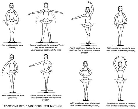 Positions Of The Feet And Arms Cecchetti Method | balletclassroom