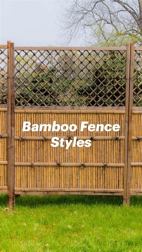 Discover the Versatility of Bamboo Fencing