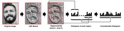 A Comprehensive Guide to Facial Recognition Algorithms - Part 1 - BaseApp Systems