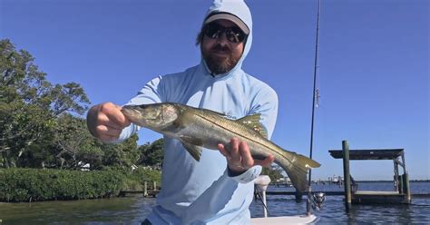 Fun Snook & Cuda Action With New Lure [Manatee River Fishing Report]