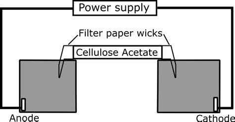 Cellulose Acetate Electrophoresis - Conduct Science