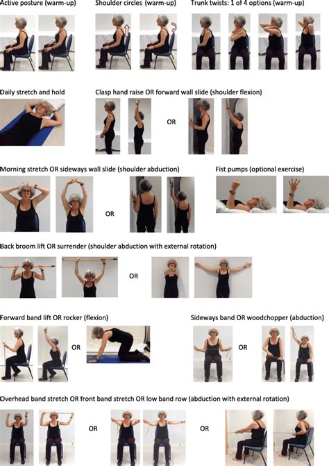 Images of all exercises in the PROSPER intervention | Download Scientific Diagram