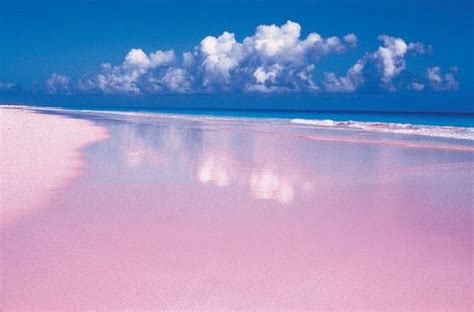 #Travel: The Most Magical Pink Sand Beaches In The World - Hype MY